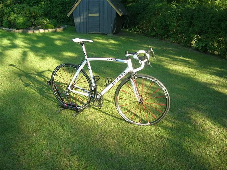 De Rosa Idol billede 2