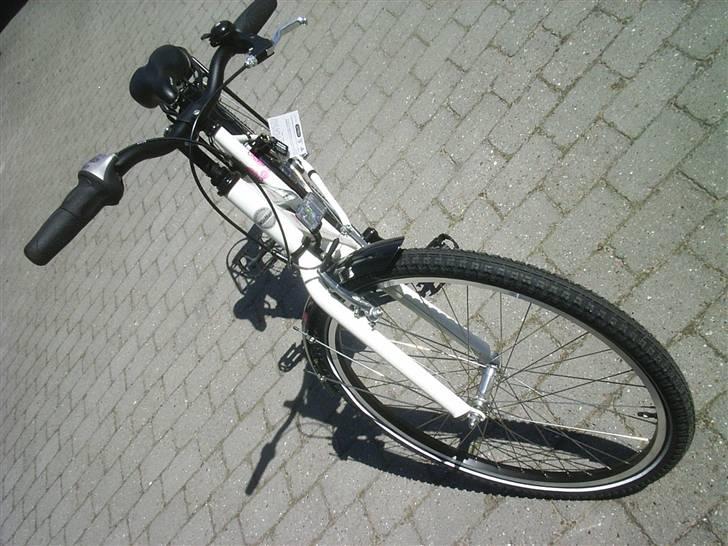 Winther 350 billede 4