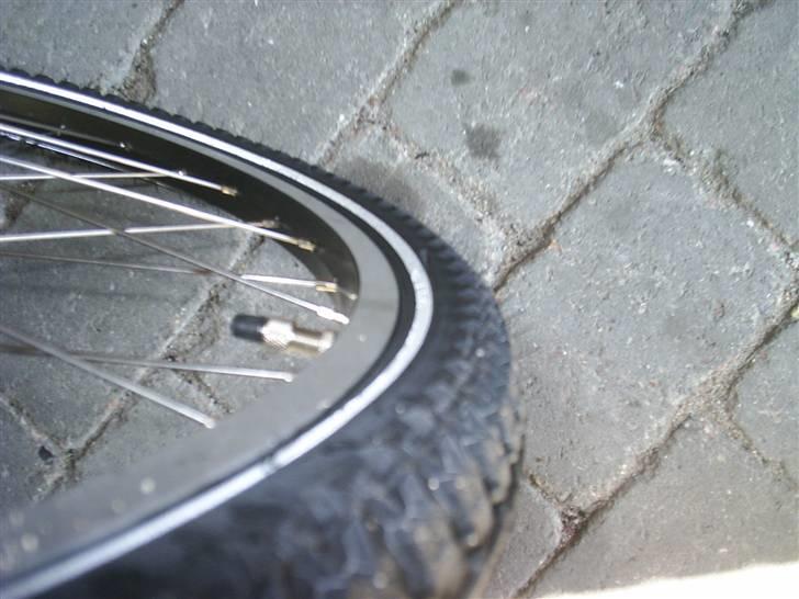 Winther 350 billede 9