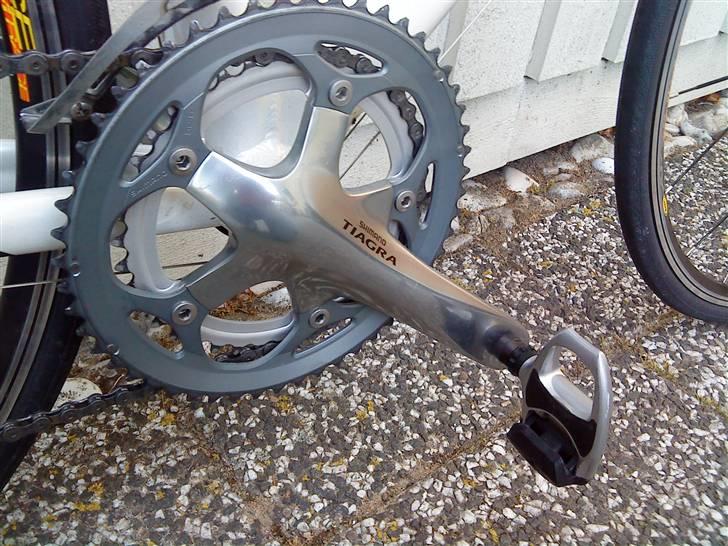 Busetto Tour Pro (SOLGT) billede 2