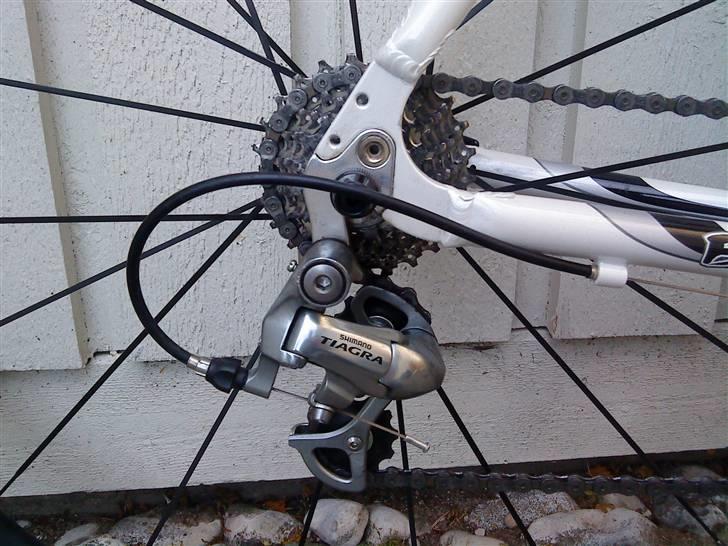 Busetto Tour Pro (SOLGT) billede 3