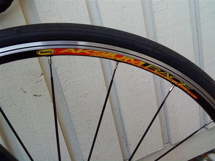 Busetto Tour Pro (SOLGT) billede 5
