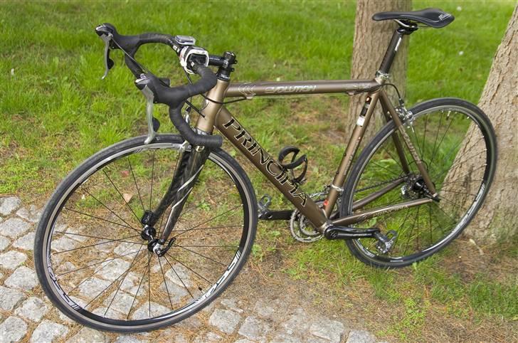 Principia Evolution - Principia Evolution billede 1