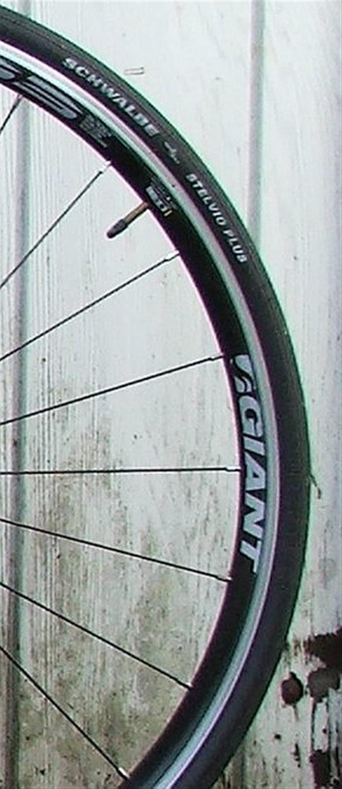 Giant SCR C4 - Schwalbe Stelvio Plus. Et genialt dæk jeg kan varmt anbefale. billede 6
