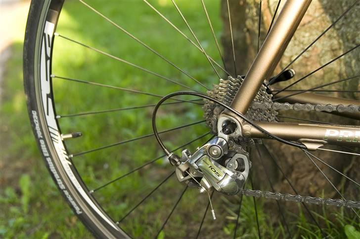 Principia Evolution billede 6