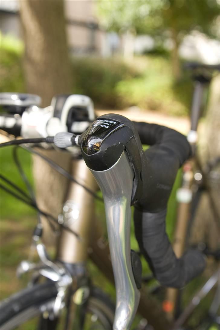 Principia Evolution billede 7