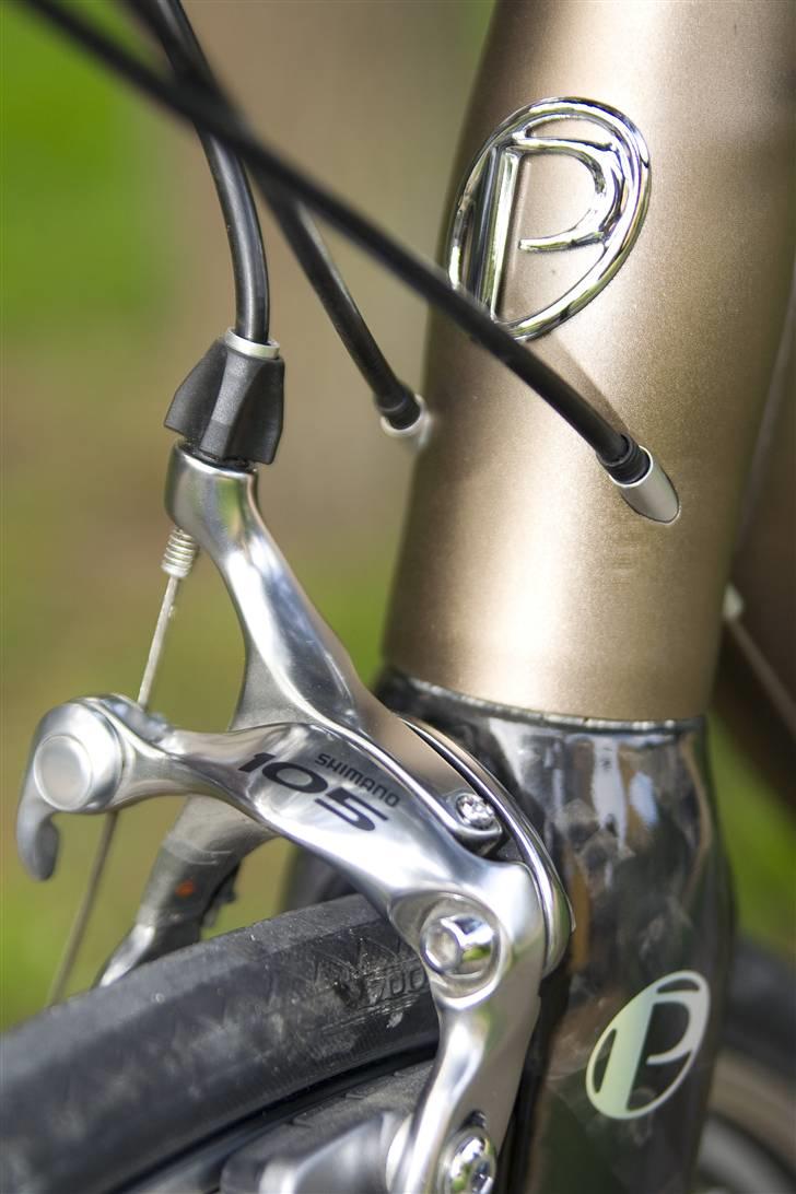 Principia Evolution billede 8