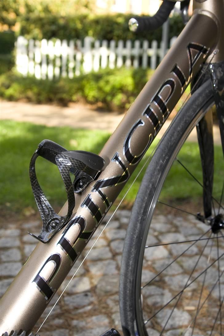 Principia Evolution billede 9