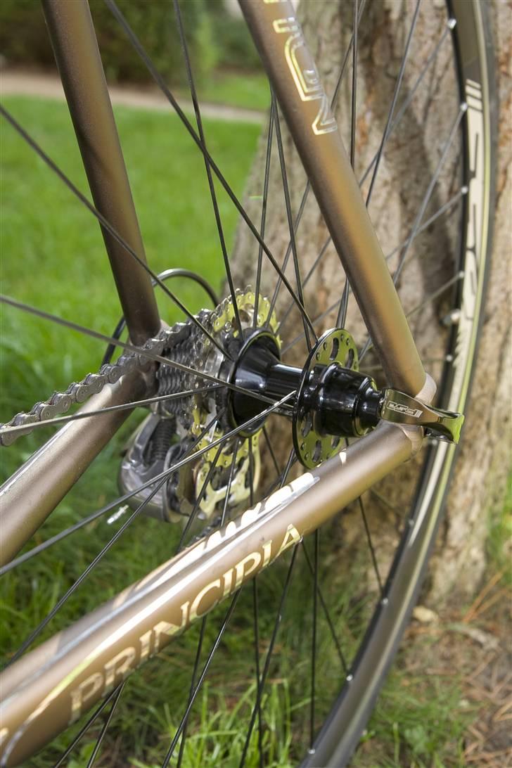 Principia Evolution billede 10