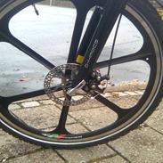 Busetto High Pro