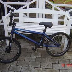 Schwinn 500 (soglt)