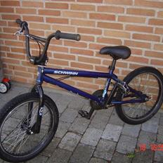 Schwinn 500 (soglt)