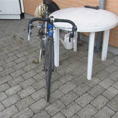 Nishiki RacerMaster