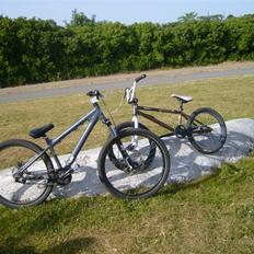 Nishiki Dirt disc