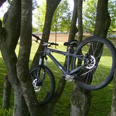 Nishiki Dirt disc