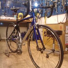 Giant SCR 2 Solgt ..!