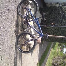 GT Chucker 2,0(SJÅLET)