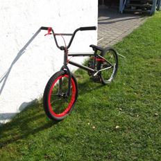Wethepeople Trust 08