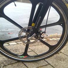 Busetto High Pro