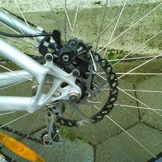 Nishiki shot