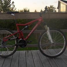 Santa Cruz Heckler
