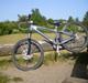 Nishiki Dirt disc