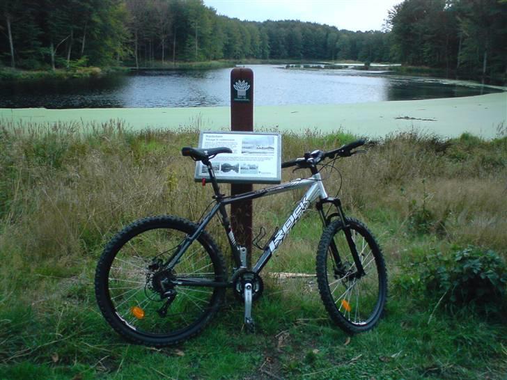 Rock Machine Thunder 70 "STJÅLET" - Ude ved Rødedam. billede 1