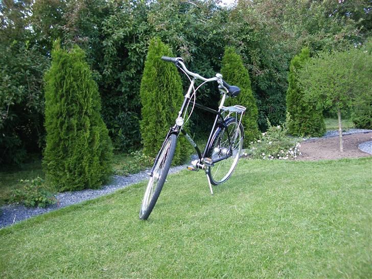 Viva CLASSIC MEN KARDAN billede 1
