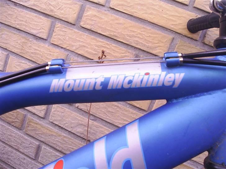 Greenfield Mount Mckinley 2400 billede 6