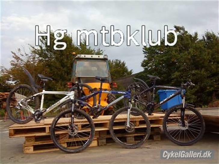 fahrrad ideal zig zag 29 2017