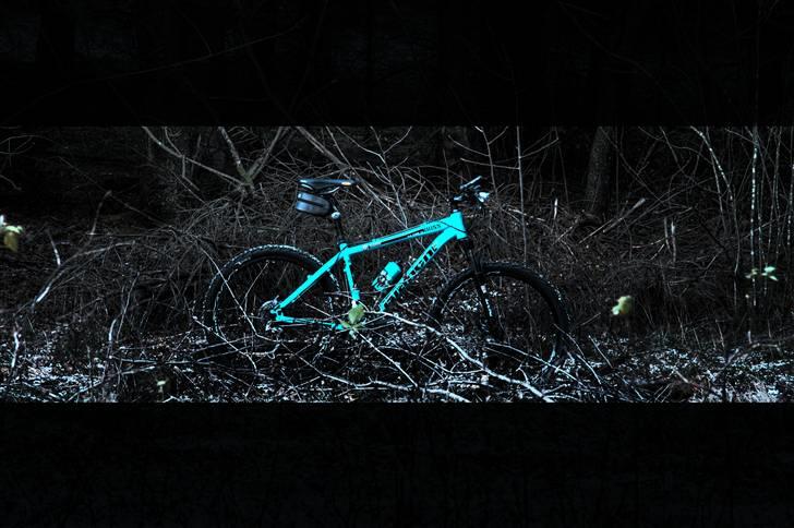 Bianchi Doss 6600 billede 1
