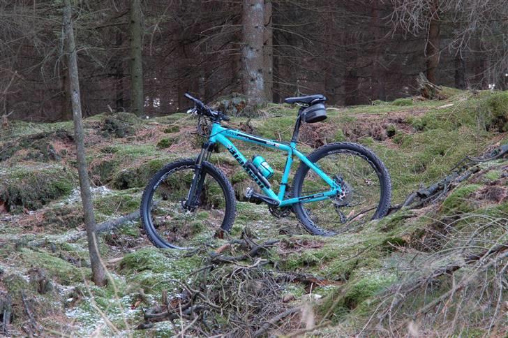 Bianchi Doss 6600 billede 6