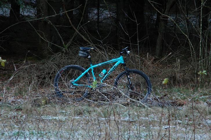 Bianchi Doss 6600 billede 8