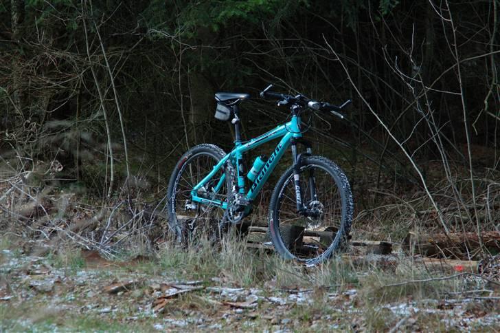 Bianchi Doss 6600 billede 9