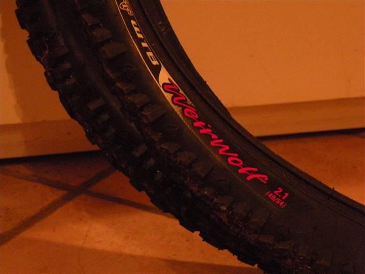 Bianchi Doss 6600 billede 10