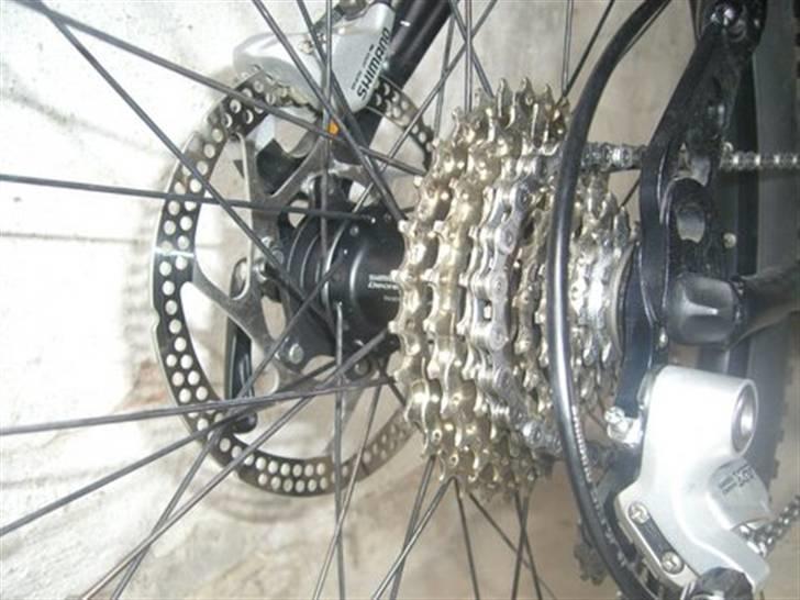 Principia MLS PRO 2003 billede 6