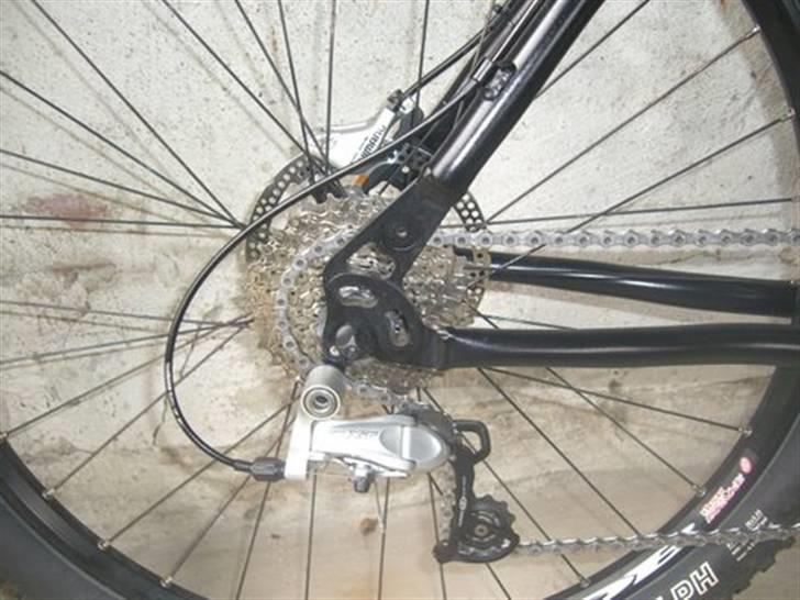 Principia MLS PRO 2003 billede 7