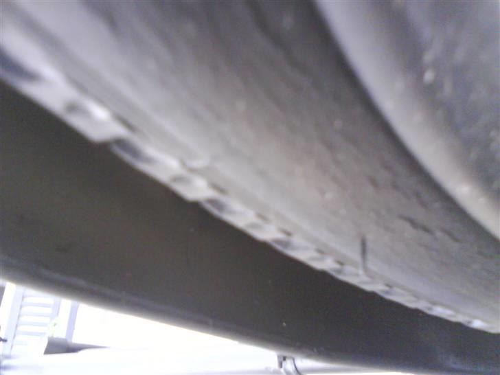 SCO budcykel billede 6