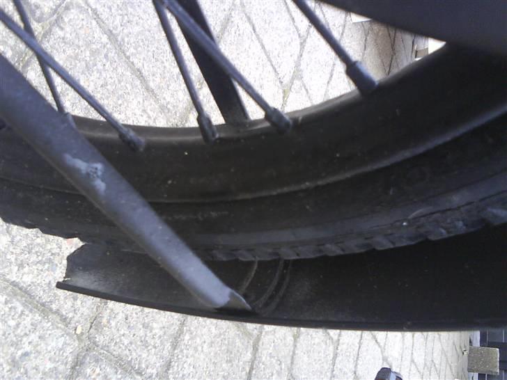 SCO budcykel billede 8