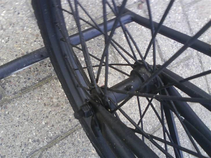 SCO budcykel billede 9