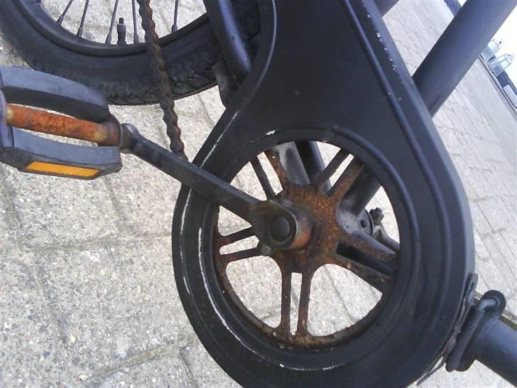 SCO budcykel billede 13