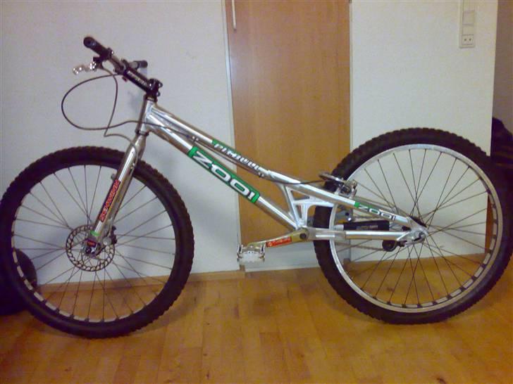 Echo pitbull billede 1