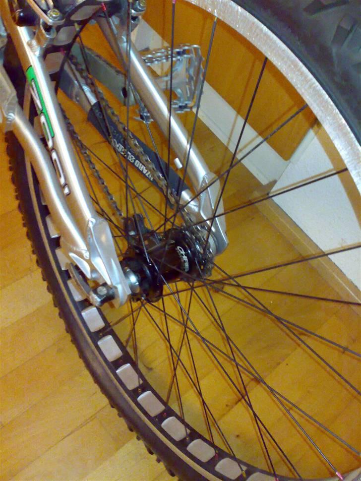 Echo pitbull billede 2