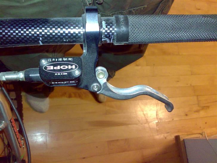 Echo pitbull billede 3