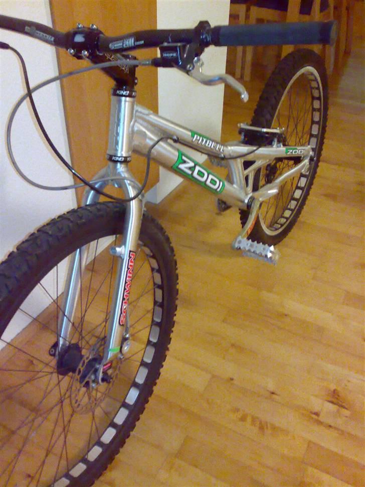 Echo pitbull billede 5