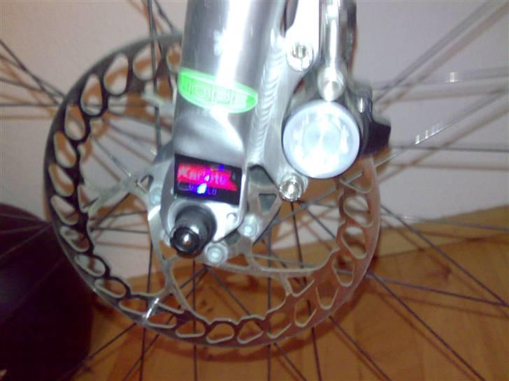 Echo pitbull billede 6