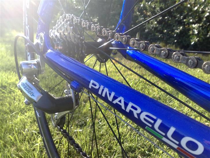 Pinarello Treviso - Man er ikke i tvivl om at de er en Pinarello. billede 6