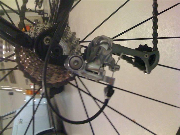 Koga Miyata Miyata billede 11