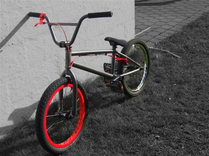 Wethepeople Trust 08 billede 1