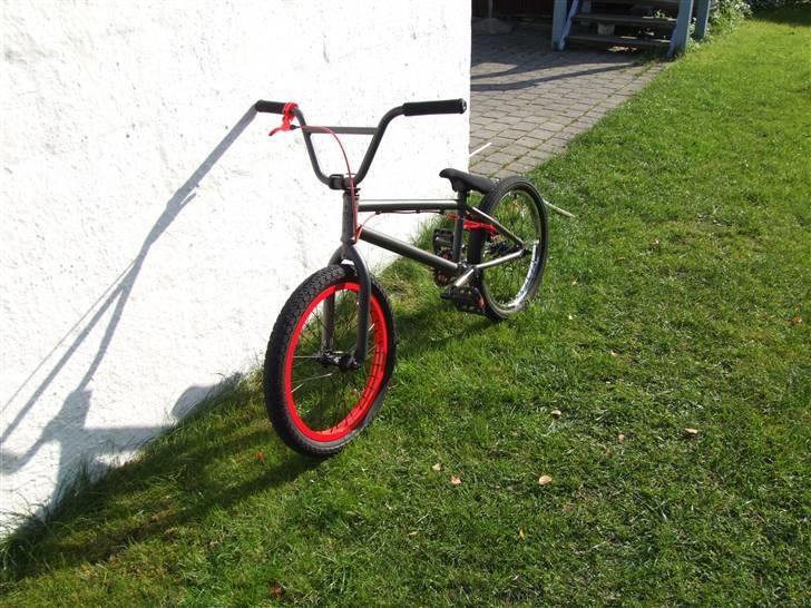 Wethepeople Trust 08 billede 2